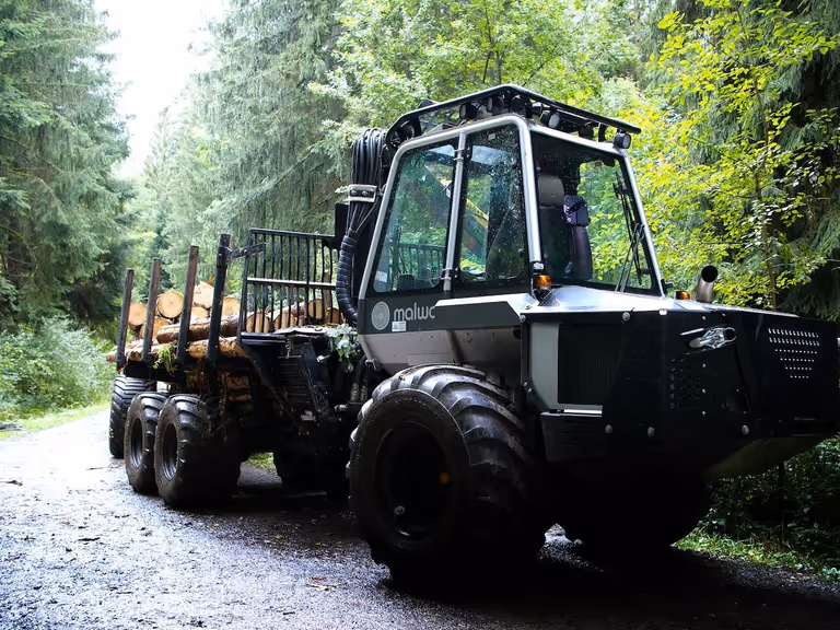 Wood Crawler